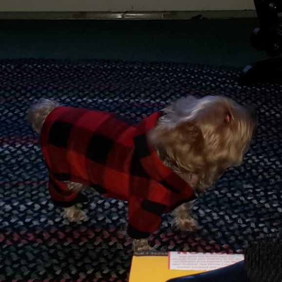 Meet your Posher, Charlie - Picture 1 of 1